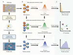 Modeling and analyzing single-cell multimodal data with deep parametric inference